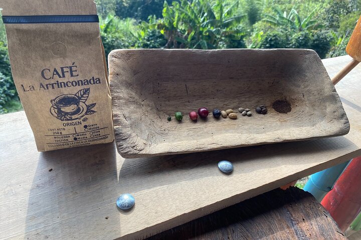 Coffee Farm Experience — Finca La Arrinconada 2