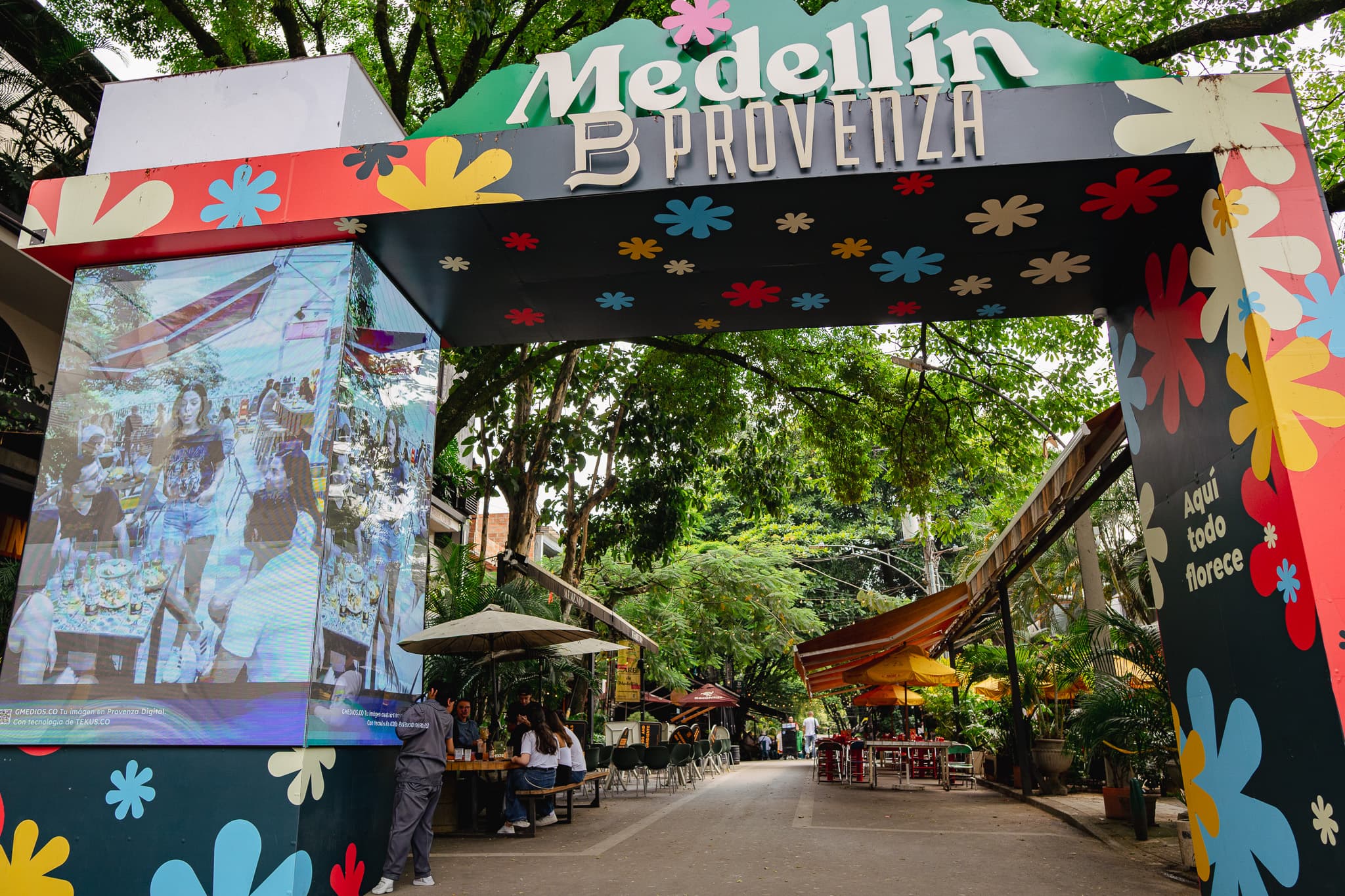 Provenza, Calle Jardín & Beyond: Medellín's Luxury Nightlife Guide